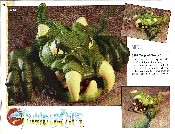 ThunderCats - 1987 LJN Dealer Catalogue page