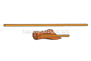 ThunderCats Encyclopedia - Cheetara's staff