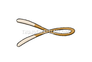 ThunderCats Encyclopedia - Pumyra's Sling